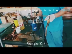 Elektromagnetische koelopslagonderdelen Meerstadiumwaarde vacuümpomp