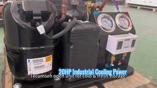 Tecumseh Open Type condensatie-unit voor koude opslag op gemiddelde temperatuur en verse ruimte