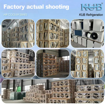 DJ series DJ100 unit cooler CE certificate Custom air cooler Evaporator for cold storage Ceiling evaporator
