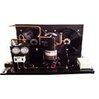 KUB FH22 ZB21L Scroll Compressor Copeland Condensatie Eenheid Koelkamer 3HP Condensatie Eenheid