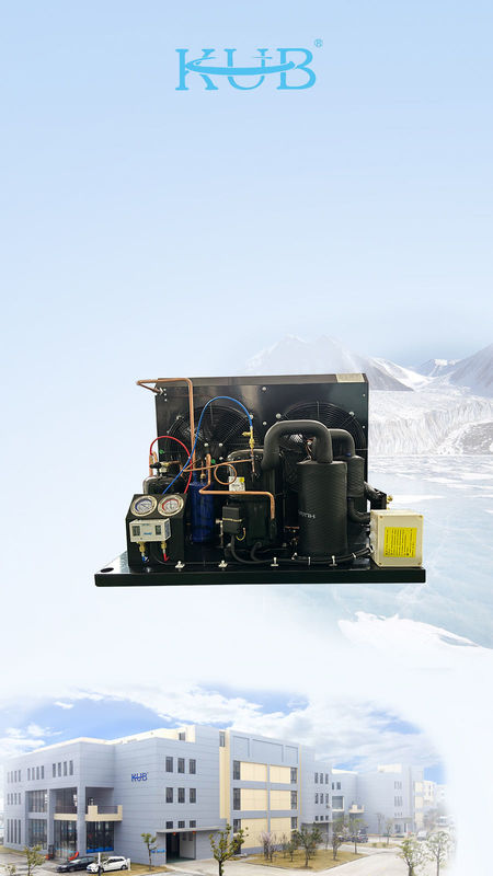 TAG2516Z Tecumseh compressor koel-eenheid vriezer-eenheid r404a condensatie-eenheid voor wandelen in de vriezer
