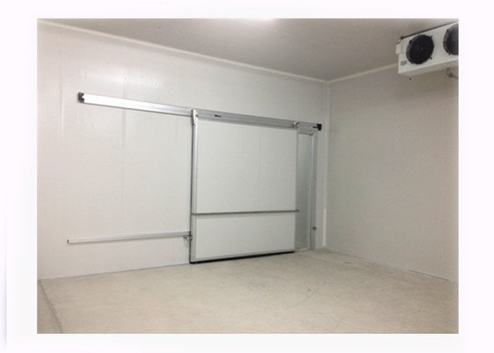 75mm 100mm 120mm 150mm 200mm van de het Ontwerp de Chemische Weerstand van Silding van Koude Opslagdeuren deur van de de Stabiliteits koude ruimte