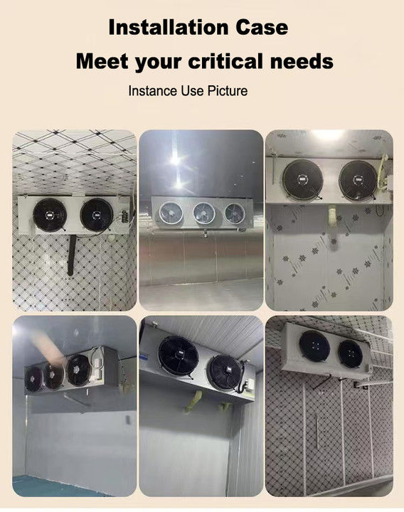 DL-serie DL22-eenheidkoeler CE-certificering aangepaste luchtkoeler 3HP koelopslag verdamper plafondverdamper, geschikt voor koeling in magazijnen, koelopslagkamers, groentenkoelopslag