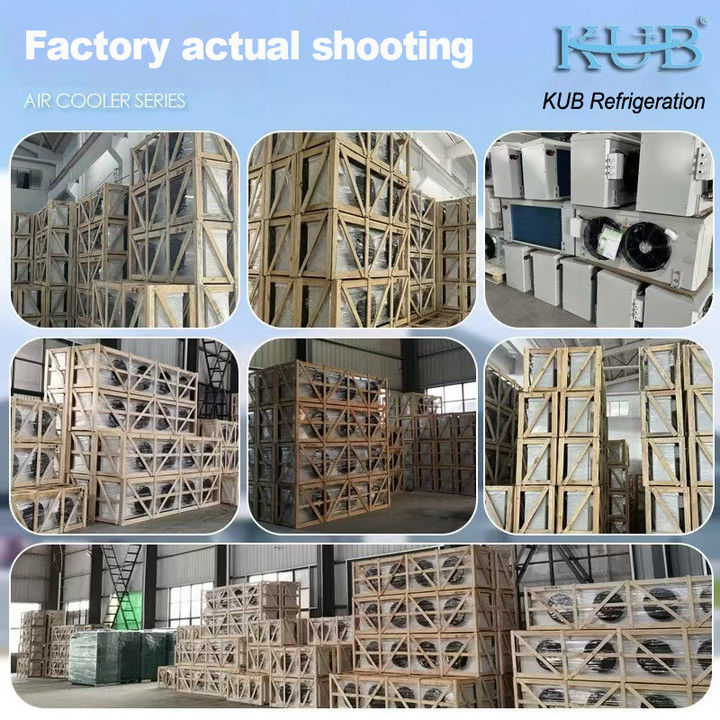 DJ-serie DJ100 enkele unit koeler CE-gecertificeerde koelopslag speciale luchtkoeler verdamper plafondverdamper koelapparatuur fabrikant, koelfabriek, gekoelde koelopslag