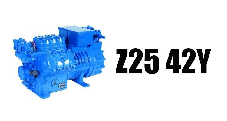 Hete en goede kwaliteit Z25 42Y Ltaly watergekoelde condensorunit en koelcompressor voor koude opslag, eenvoudig te bedienen