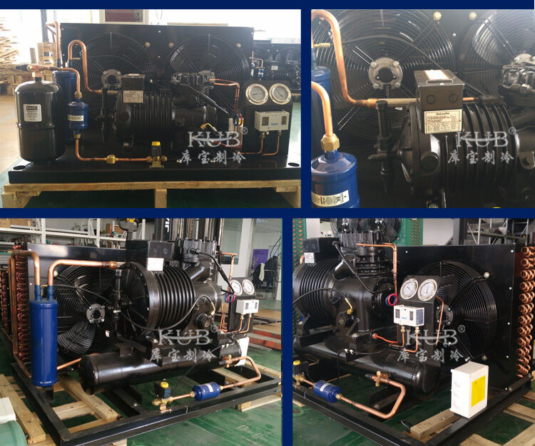 BFS81 Betrouwbare Koelcel Semi-hermetische Compressor Condensatie-unit Koelopslag Koelunit Eenvoudig te bedienen