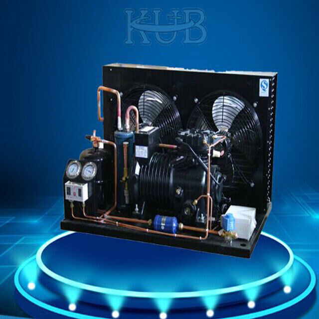 BFS81 Betrouwbare Koelcel Semi-hermetische Compressor Condensatie-unit Koelopslag Koelunit Eenvoudig te bedienen