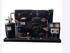 BFS81 Betrouwbare Koelcel Semi-hermetische Compressor Condensatie-unit Koelopslag Koelunit Eenvoudig te bedienen