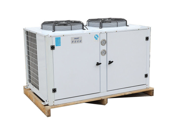 Koelde de Lucht van de Kub300zsi09kqe 3hp Lage temperatuur copeland Condenserende Eenheids Compacte Structuur Goede Apperance