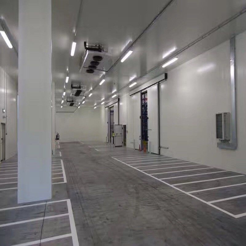 Nieuwe koude bergruimte voor plantaardige de luchtkoeler van de beaf koude ruimte van de vleesaardappel