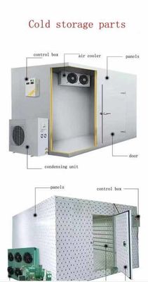 Meat storage cold storage 55 cubic meters temperature -20 degrees cold storage price