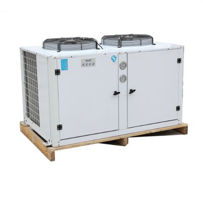 5HP to 25HP Cold Room Condensing Unit Box Type Refrigeration Unit air Cooled Condensing Low-noise Refrigeration Unit